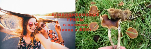 меф Володарск