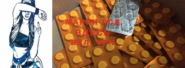 ECSTASY Строитель
